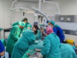 2026 &raquo; 6 JAN 2026 KES AUTOTRANSPLANT GIGI